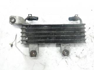 радиатор масляный Hyundai Santa Fe 1 поколение (SM) 2002, 2.0 л., CRDi, дизель, АКПП, минивэн