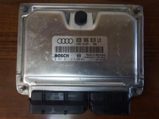 блок управления двигателем Audi A6 4B/C5 [рестайлинг] 2001, 1.9 л., TDi, дизель, 038906019LM, 0281011213