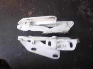 петля капота Volkswagen Crafter 1 поколение 2006, 2.5 л., TDi, дизель, МКПП, микроавтобус, 9067500021