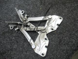 петля капота Volkswagen Golf Plus 1 поколение 2005, 2.0 л., TDi, дизель, АКПП, хетчбэк 5 дв.