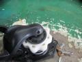 крепление запаски Renault Modus 1 поколение 2005, 1.2 л., i, бензин, МКПП, минивэн, 8200367262A, 8200304319 - фото №4
