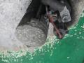 стартер Volkswagen Passat B5 1998, 1.9 л., TDi, дизель, 068911024L - фото №2