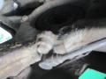 ступица передняя правая Alfa Romeo 147 1 поколение [рестайлинг] 2005, 1.6 л., i, бензин, МКПП, хетчбэк 5 дв. - фото №3