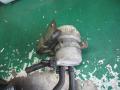 вакуумный усилитель тормозов Mitsubishi Space Star 1 поколение 2002, 1.9 л., МКПП, минивэн, NW104369 - фото №5