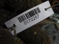 защита двигателя Volkswagen Touran 1 поколение 2005, 1K0825237AE - фото №4
