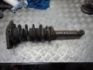 стойка задняя Nissan Primera P12 2003, 2.2 л., МКПП, седан