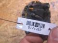 генератор Volkswagen Lupo 6X 2002, 1.4 л., МКПП, хетчбэк 5 дв., 037903025L - фото №3