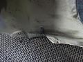 крыло переднее левое Volkswagen Fox 2 поколение 2005, 1.4 л., МКПП, хетчбэк 5 дв. - фото №7