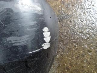 бампер передний Mercedes-Benz Vario W670 2002, 6708800270
