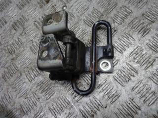 петля двери Volkswagen Golf 4 поколение 2004, 1.4 л., МКПП, хетчбэк 5 дв., 1K0831412J