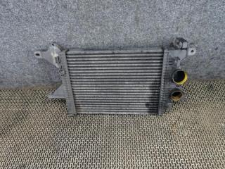 интеркулер Mercedes-Benz Vario W670 2005, 4.2 л., A6685000500