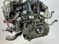 двигатель Audi A3 8P/8PA [рестайлинг] 2006, 2.0 л., TD, дизель, МКПП, передний привод, BMN - фото №4