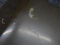 капот Mercedes-Benz Vario W670 2002 - фото №6