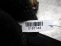 ТНВД Nissan Qashqai 1 поколение 2007, 2.0 л., АКПП, внедорожник 5 дв., 0445010170, H8200690744 - фото №3