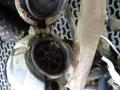 прицепное устройство (фаркоп) Nissan Qashqai 1 поколение 2007, 2.0 л., АКПП, внедорожник 5 дв. - фото №6
