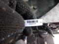 декоративная крышка двигателя Volkswagen Passat B5 2000, 2.5 л., МКПП, универсал, 059103925H - фото №2