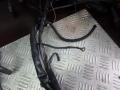проводка Audi A4 B6 2002, 2.5 л. - фото №5