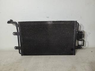 радиатор кондиционера SEAT Leon 1 поколение 2002, 1.4 л., i, BCA, бензин, 5МКПП, серебристый, хетчбэк 5 дв., передний привод, 1J0820411D