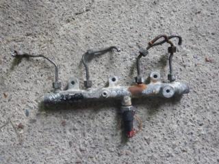 топливная рампа Peugeot 307 1 поколение 2002, 2.0 л., 0445214019