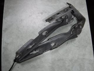 петля капота Audi A4 B6 2006, 2.0 л., МКПП, универсал, 8E0823301E, 8E0823302E