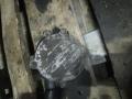 насос вакуумный Mercedes-Benz C-Класс W203/S203/CL203 2003, 2.2 л., АКПП, универсал, A6462300165 - фото №2