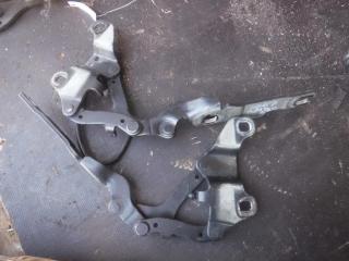 петля капота BMW 3 серия E90/E91/E92/E93 2005, 2.0 л., МКПП, седан, 7115263