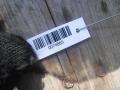 кнопка обогрева заднего стекла Volkswagen Golf 3 поколение 2000, 1J0959621C - фото №3