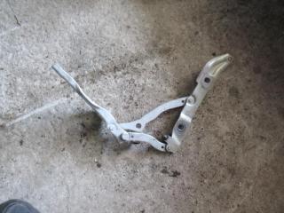 петля крышки багажника BMW 3 серия E90/E91/E92/E93 2007, 2.0 л., МКПП, седан, 7060627