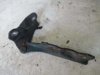 петля капота Hyundai Terracan 1 поколение 2004, 2.9 л., МКПП, внедорожник 5 дв.