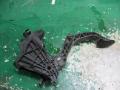 педаль тормоза Skoda Roomster 1 поколение 2010, 1.6 л., МКПП, фургон - фото №3