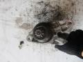 стартер Volkswagen Polo 4 поколение 2005, 02T911023G - фото №2