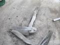 петля капота Ford Transit Connect 1 поколение 2005, 1.8 л., МКПП, фургон - фото №5