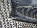 решетка радиатора Ford Fiesta 3 поколение 1996, 1.3 л., МКПП, хетчбэк 5 дв., 96FB8200AC - фото №4