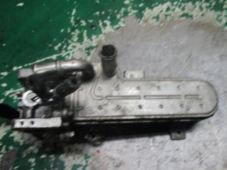 клапан EGR Volkswagen Golf 3 поколение 1999, 1.9 л., 038131513D