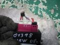 реле бензонасоса BMW 2008, 1.6 л., МКПП, хетчбэк 5 дв., 55892110 - фото №3