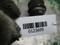 подушка крепления двигателя Mercedes-Benz E-Класс W210/S210 1998, 2102400517 - фото №2