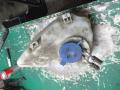 бачок омывателя Mercedes-Benz A-Класс W169 2007, 1.7 л., МКПП, хетчбэк 5 дв., A1698690720 - фото №2
