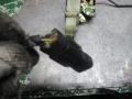 замок двери передней левой Kia Sorento 1 поколение 2005, 2.5 л., МКПП, внедорожник 5 дв. - фото №5
