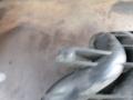 коллектор выпускной Volkswagen Beetle 2 поколение 2005, 1.4 л., МКПП, хетчбэк 5 дв., 036129711DR - фото №7