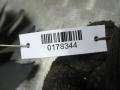 крыльчатка вискомуфты IVECO Daily 3 поколение 2005, 504024647 - фото №3