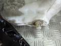 бачок омывателя Mercedes-Benz Sprinter 2 поколение (W906) 2010, 2.2 л., МКПП, микроавтобус, A9068690220 - фото №3