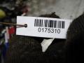 подушка крепления КПП Citroen C2 1 поколение 2007, 1.1 л., МКПП, хетчбэк 5 дв., 9680293280 - фото №3
