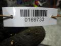 амортизатор задний Volkswagen Polo 4 поколение 2005, 1.2 л., МКПП, хетчбэк 5 дв., 6Q0513025BL - фото №2
