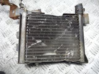 радиатор масляный Volkswagen Passat B5 2000, 1.9 л., АКПП, 8D0203503A