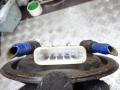 датчик уровня топлива Opel Astra G 2001, 1.7 л., МКПП, хетчбэк 5 дв., 9128220 - фото №6