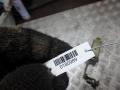 механизм сдвижной двери Mercedes-Benz Vito W638 2001, 2.2 л., АКПП, микроавтобус, A6387600847 - фото №5