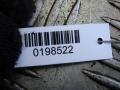 катушка зажигания Volkswagen Golf 4 поколение 2004, 1.4 л., МКПП, хетчбэк 5 дв., 036905715E - фото №4