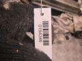 домкрат Audi A3 8L 2000, 8L0011031A - фото №3