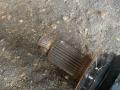 полуось задняя (приводной вал, ШРУС) BMW 7 серия F01/F02 2010, 4.4 л., N63 B44 A, бензин, 7566086 - фото №4