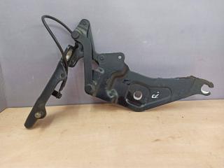 петля капота правая BMW X5 E70 2009, 3.0 л., M57 D30 (306D3), дизель, 7208628